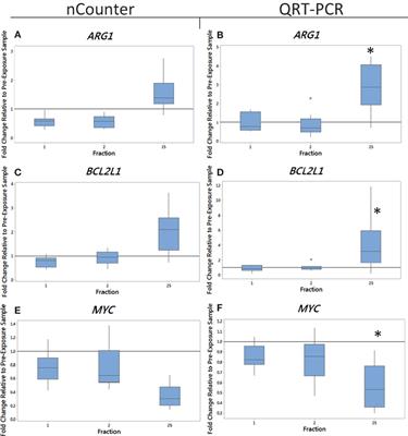 Radiotherapy-Associated Long-term Modification of Expression of the Inflammatory Biomarker Genes ARG1, BCL2L1, and MYC